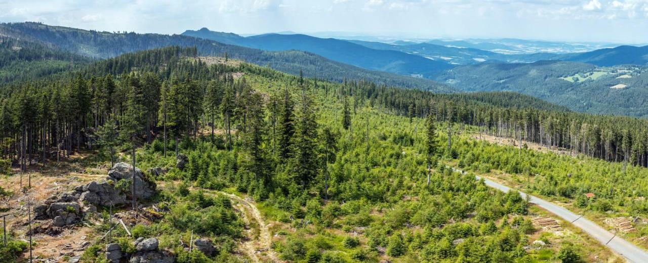 Apartmany Anicka Železná Ruda Exteriör bild